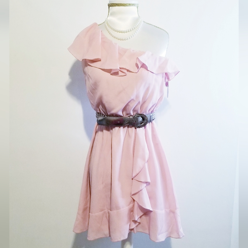 NWT Beta House Pink One Shoulder Ruffled Dress - Picture 2 of 13